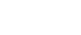 Blue Cross Blue Shield